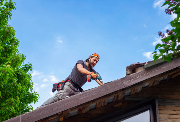 Best Steel Roofing  in Gig Harbor, WA